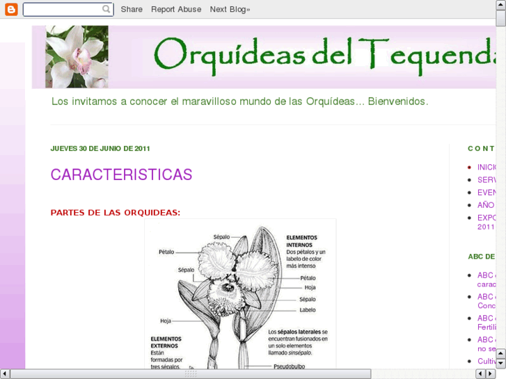 www.orquideasdeltequendama.com