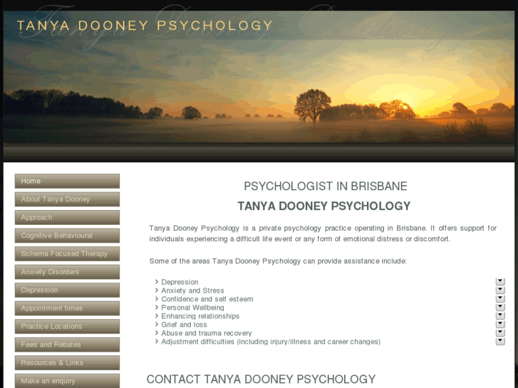 www.psychologistinbrisbane.com