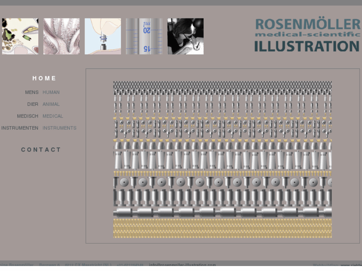 www.rosenmoller-illustration.com