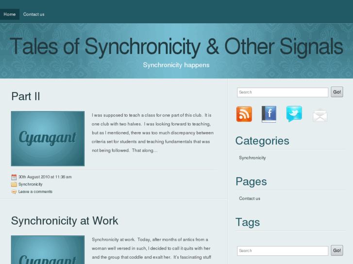 www.synchronicityblog.com