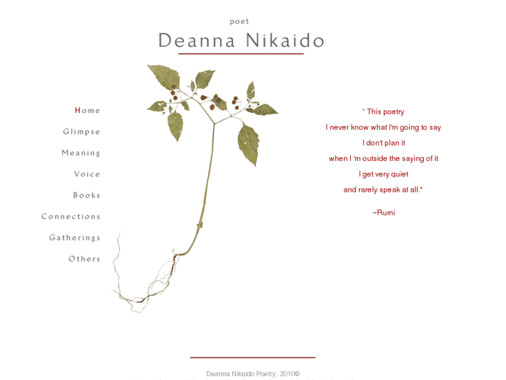 www.deannanikaido.com