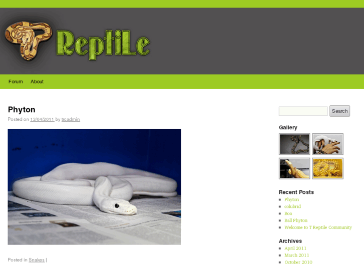 www.t-reptile.com