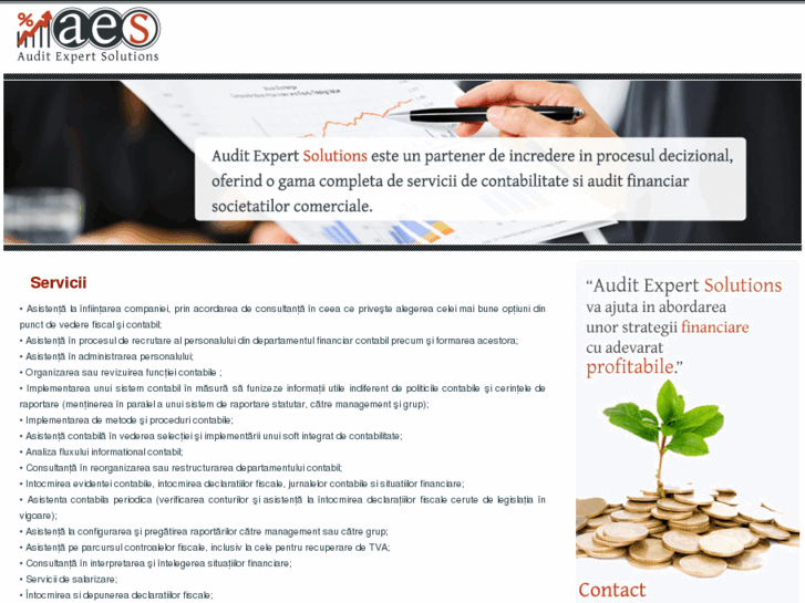 www.auditexpertsolutions.ro