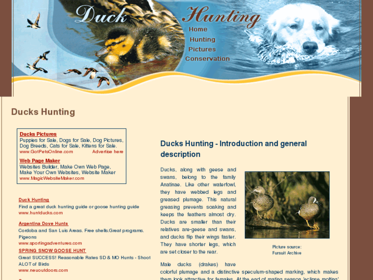 www.duck-hunting-pictures.com