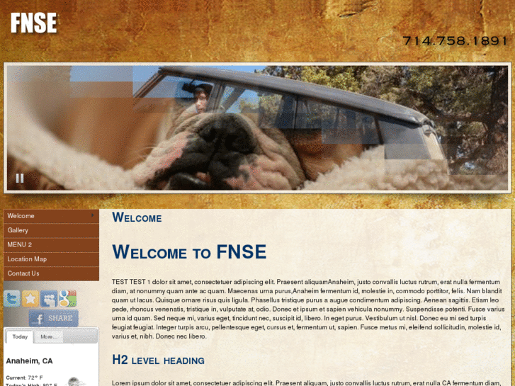 www.fnse.com