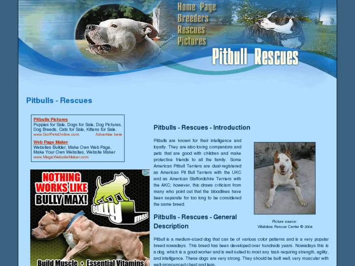 www.pitbull-rescues.com