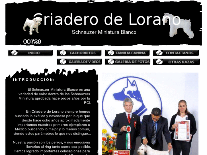 www.schnauzerblancomexico.com