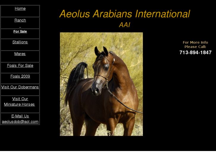 www.aeolusarabians.com