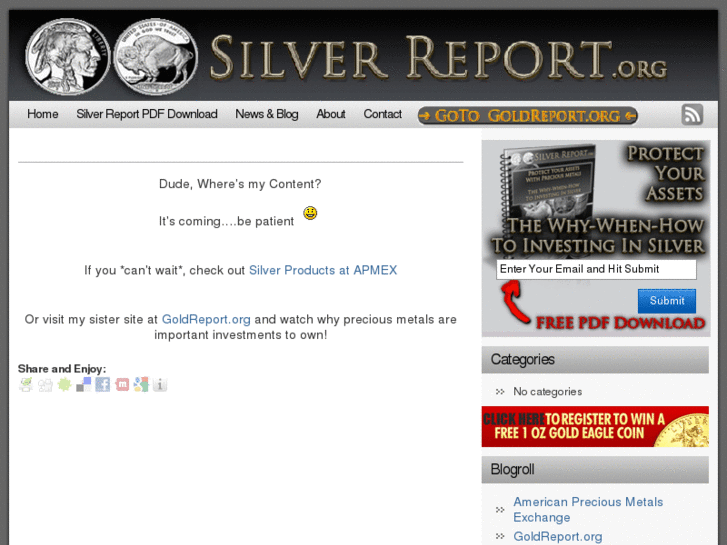 www.silverreport.org