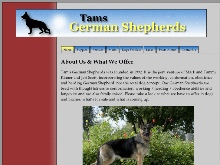 www.tamsgermanshepherds.com