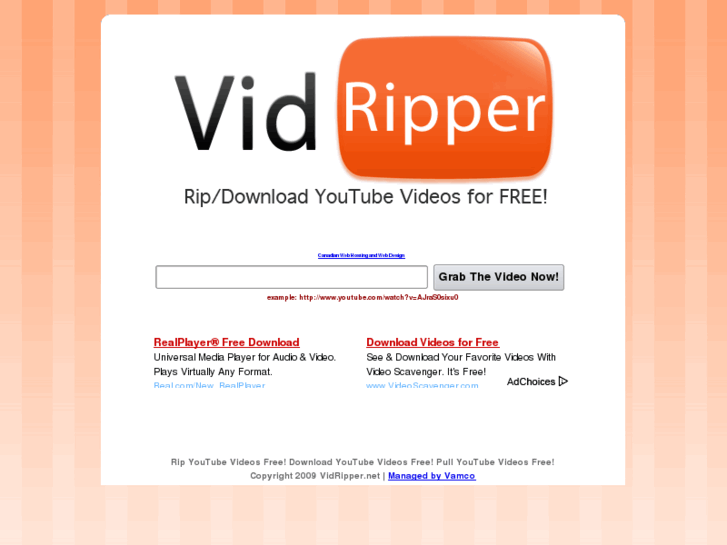 www.vidripper.net