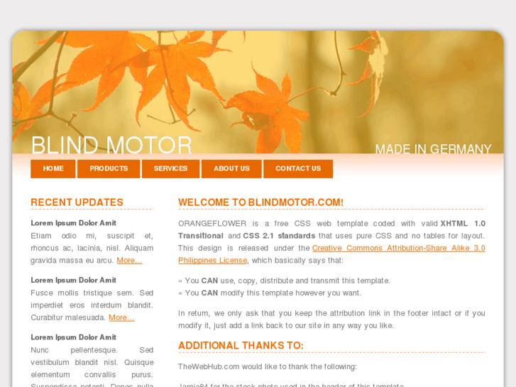 www.blindmotor.com