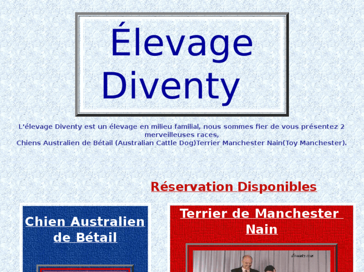 www.diventy.com