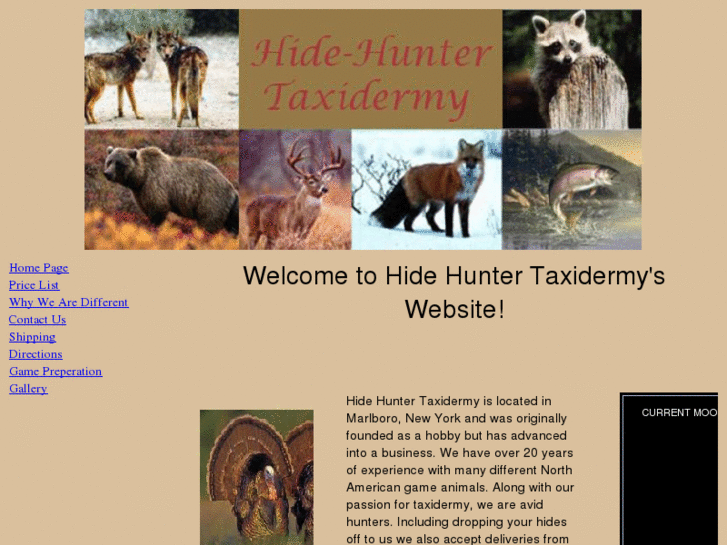 www.hidehuntertaxidermy.com