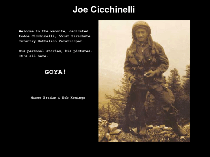 www.joe-cicchinelli.com