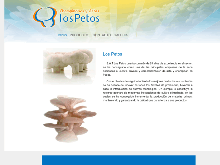 www.lospetos.es