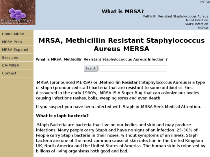 www.methicillin-resistant-staphylococcus-aureus.com