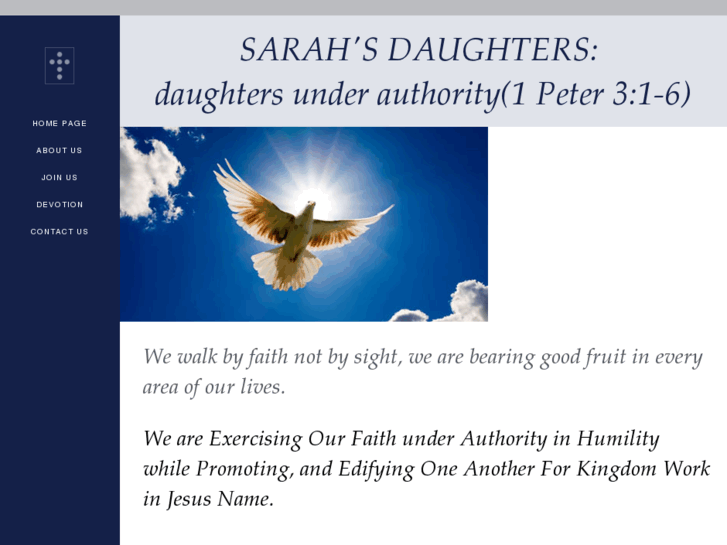 www.sarahsdaughterssfl.org