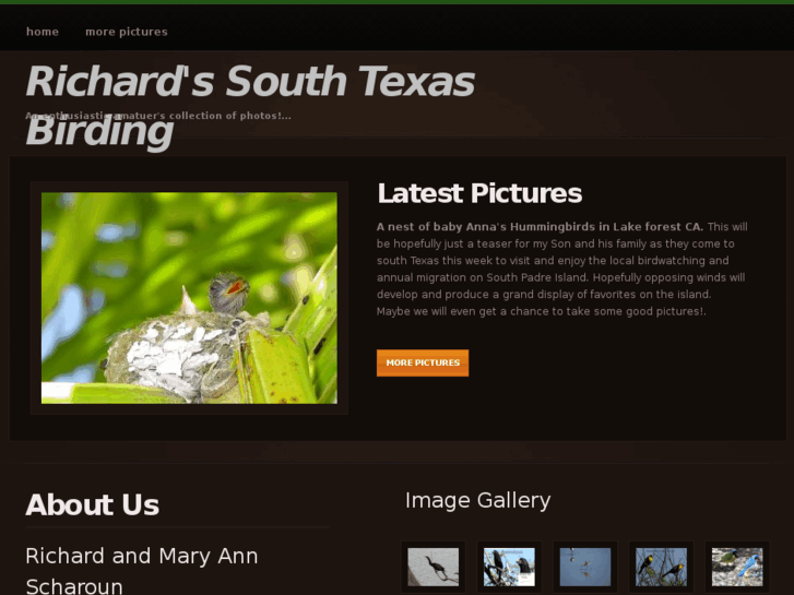 www.southtexasbirding.com