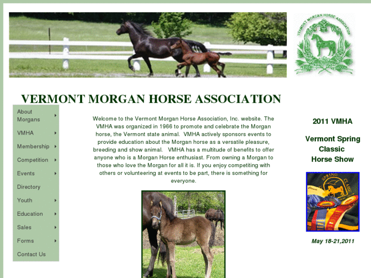 www.vtmorganhorse.com