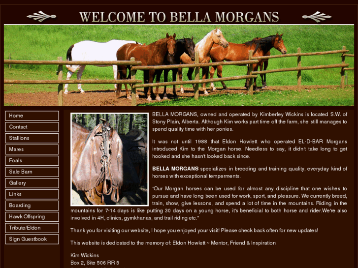 www.bellamorgans.com