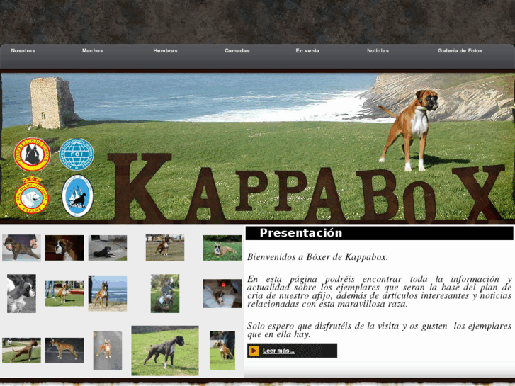 www.boxerdekappabox.com