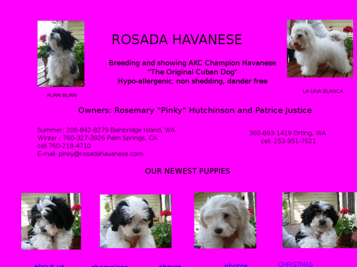 www.rosadahavanese.com