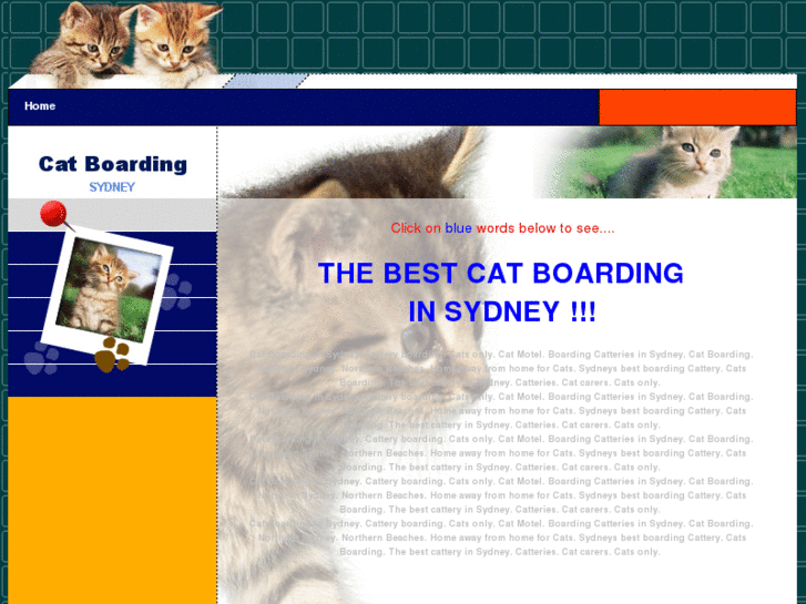 www.sydneyboardingcatteries.com