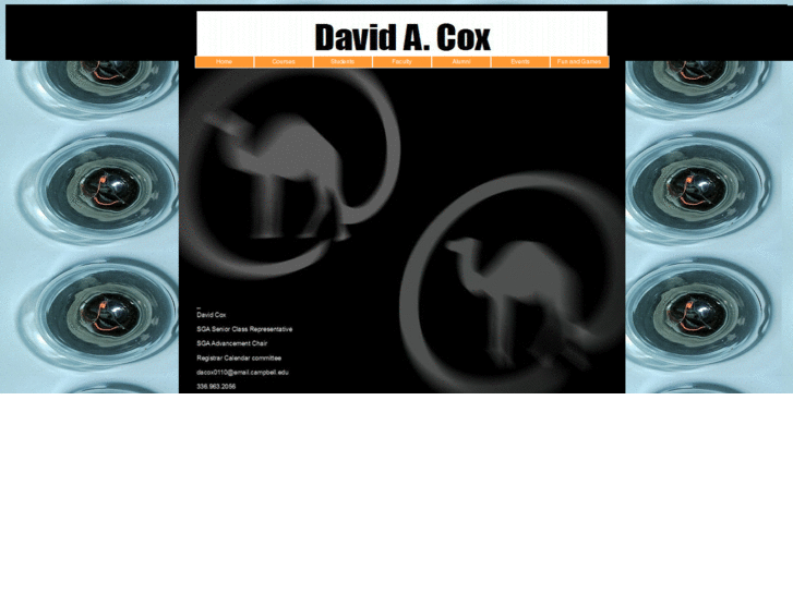 www.thedavidcox.info
