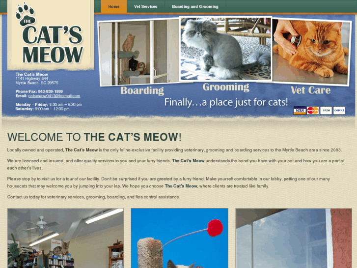 www.catsmeowmyrtlebeach.com