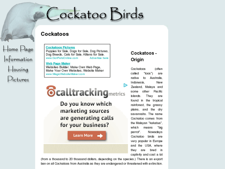 www.cockatoo-birds.com