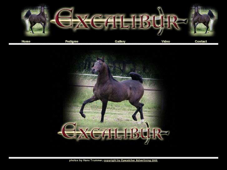 www.experience-excalibur.com