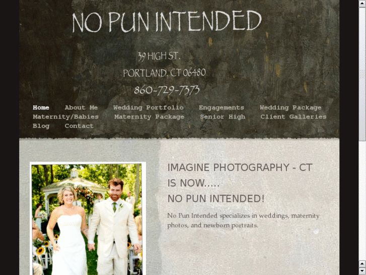 www.nopunintendedinc.com