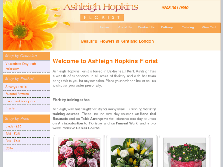 www.ashleighhopkins.com