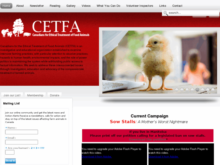 www.cetfa.com