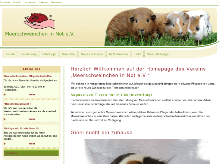 www.meerschweinchen-in-not.com