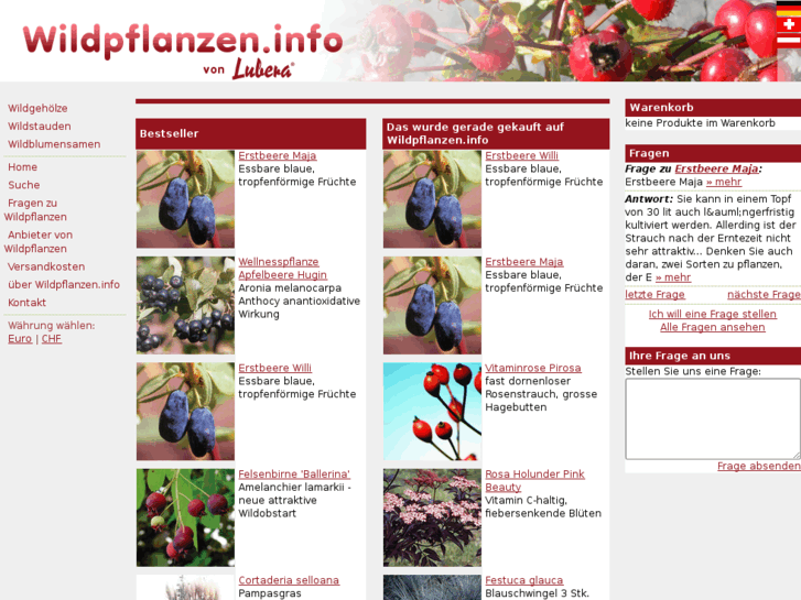 www.wildpflanzen.info