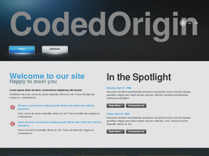 www.codedorigin.com