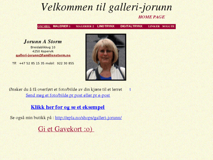 www.galleri-jorunn.com