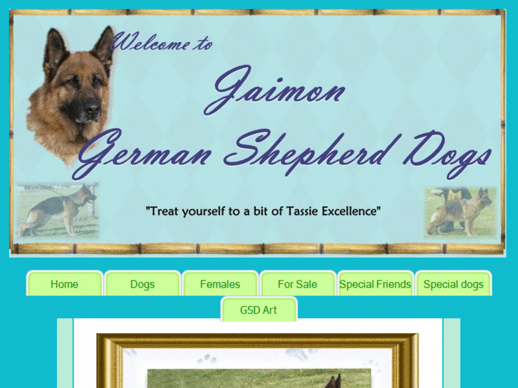 www.jaimon.net