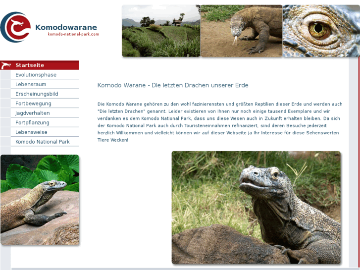 www.komodo-national-park.com