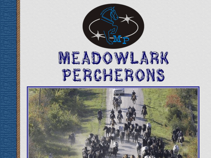 www.meadowlarkequineranch.com