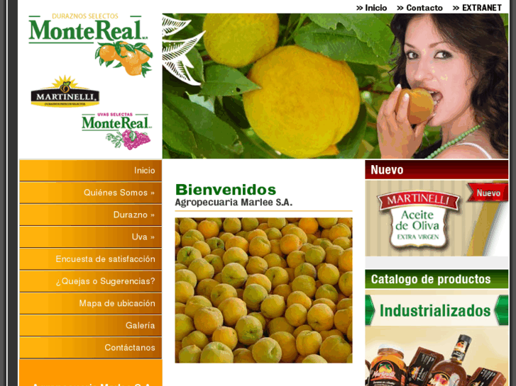 www.montereal.com.mx