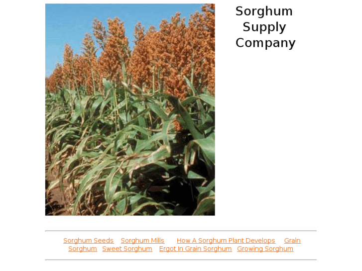 www.sorghumsupply.com