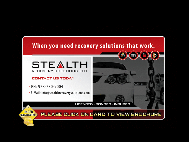 www.stealthrecoverysolutions.com