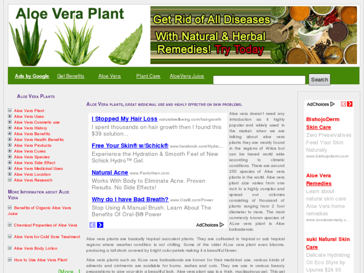 www.aloeveraplant.org