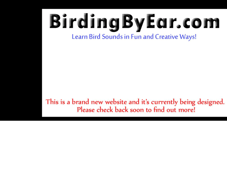 www.birdingbyear.com