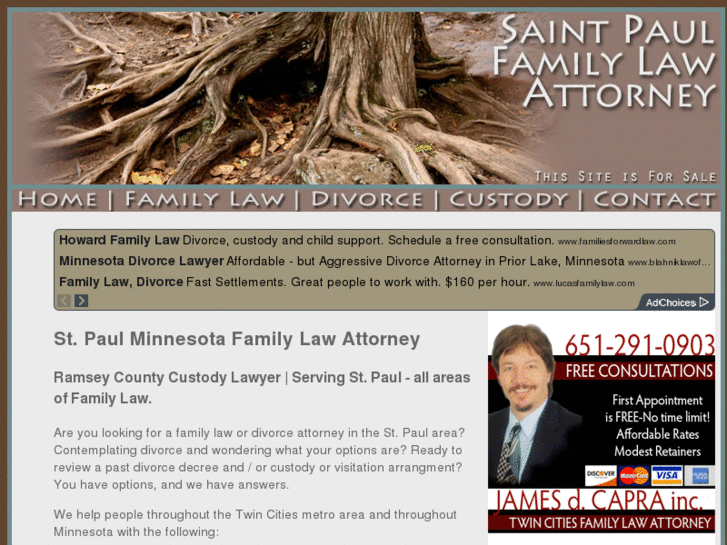 www.edina-divorce-lawyer.com