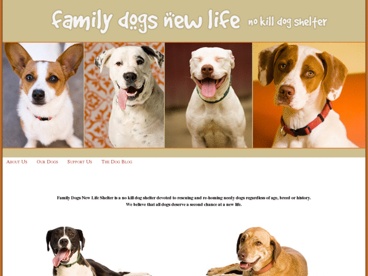 www.familydogsnewlife.org