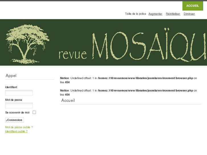 www.revue-mosaique.com